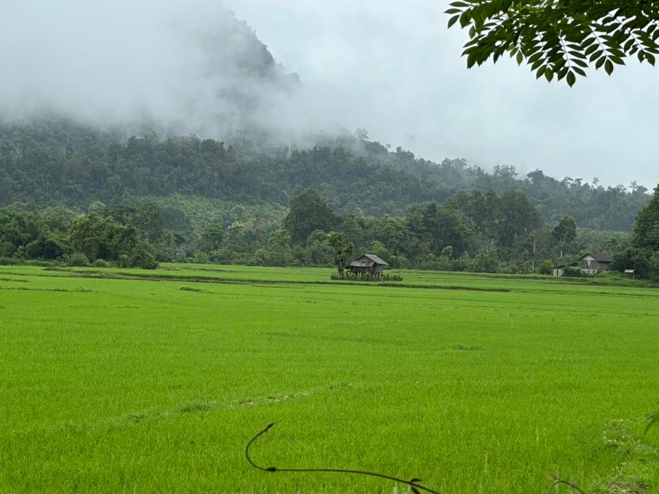 22 Days Hanoi Cycling to Luang Prabang and to Chiang Mai